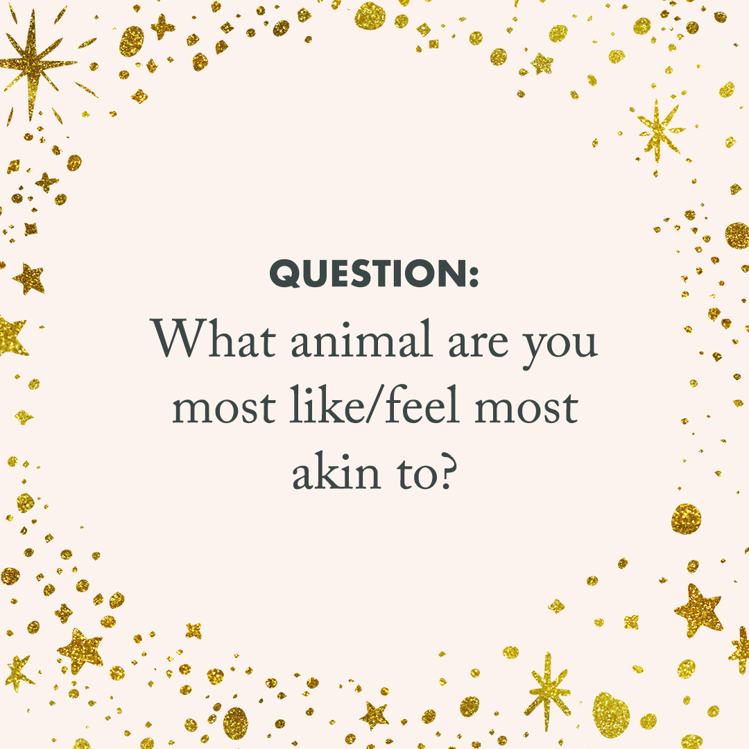 engagement topic quote image that says, "what animal are you most like/feel most akin to?"