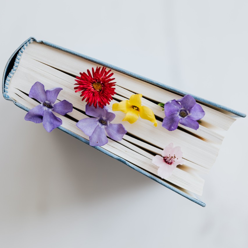 blogs I heart a book with flowers sticking out of the pages as bookmarks