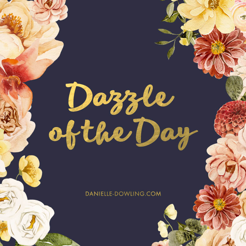 dazzle of the day square banner image