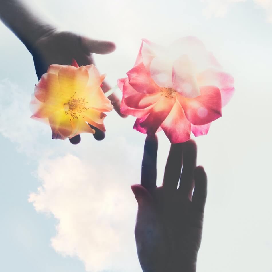 hands and flowers against the sky. Photo by Evie S. on Unsplash